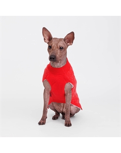 Свитер для кошек и собак Merry Christmas, XL, красный Petmax