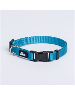 Ошейник для собак нейлоновый, обхват шеи 22-35 см, ширина 1 см, голубой Rungo