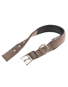 Ошейник для собак на мягкой подкладке Daytona, ширина 2 см, длина 51 см, коричневый Ferplast
