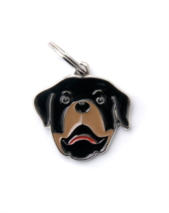 Адресник для ротвейлера Friends, 3,4х3,3 см My family