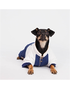 Комбинезон для собак, 2XL, сине-серый Petmax