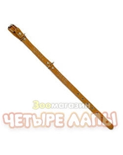 Ошейник для собак о25п 25 Аркон