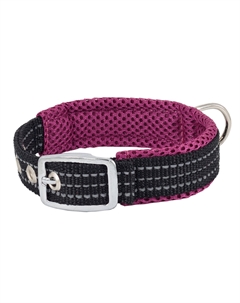Ошейник нейлоновый с мягкой подкладкой для собак, обхват шеи 27-35 см, 20 мм, фиолетовый Каскад