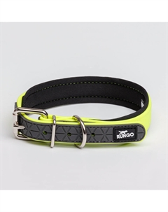 Ошейник для собак, обхват шеи 45 см, ширина 2 см, желтый Rungo