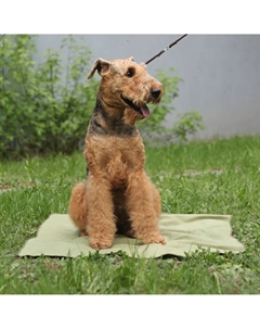 Коврик охлаждающий для кошек и собак средних и крупных пород, 75х100 см, цвет в ассортименте Osso