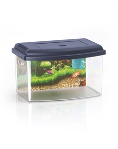 Аквариум пластиковый, 3 л, серый Georplast
