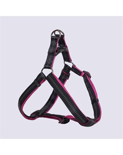 Шлейка для собак Step-in Downtown, обхват груди 80-100 см, ширина ремешка 2,5 см, черный с орхидеей Rungo