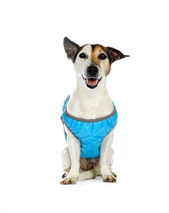 Шлейка с отражающей лентой для собак, 2XL, обхват шеи 43-45 см, обхват груди 46-50 см, голубая Rurri