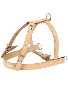 Шлейка для собак кожаная, обхват груди 80-98 см, ширина 25 мм Аркон