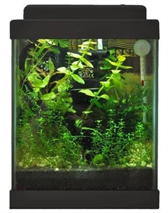 Нано-аквариум (20х20х28,5 см), 10 л, черный Аква гесса