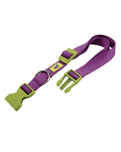 Ошейник для собак Club Colours, обхват шеи 45-70 см, ширина 2,5 см, фиолетовый Ferplast
