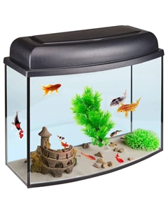 Аквариум-телевизор (46x20,1x37,5 см) с крышкой, 30 л Голд фиш