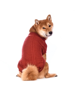Свитер вязаный для кошек и собак, S, ржавый (унисекс) Petmax