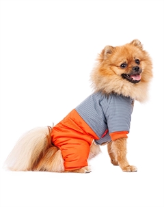 Комбинезон для собак, 3XL, голубой (унисекс) Petmax