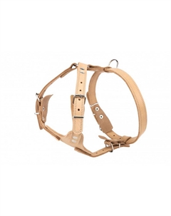 Шлейка для собак, обхват груди 68-82 см, ширина 25 мм Аркон