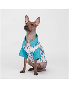 Футболка для кошек и собак, XL, голубая с принтом Rurri