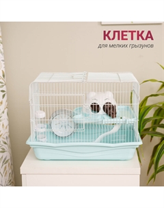 Клетка для мелких грызунов, 45x30x33 см, синяя Petmax