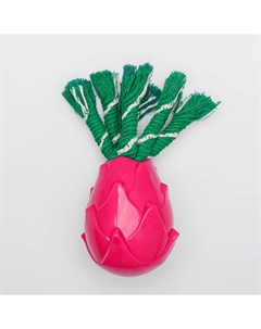 Игрушка для собак Питахайя, 7,7х9,7 см Rurri