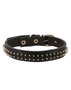 Ошейник для собак кожаный, обхват шеи 39-46 см, ширина 2,5 см, черный Каскад