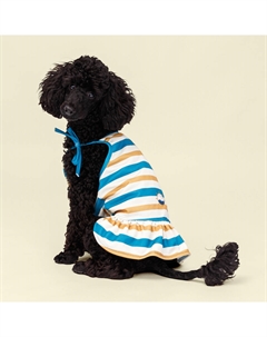 Майка-платье для собак и кошек Аквамарин, XL, песочно-синее в полоску Rurri