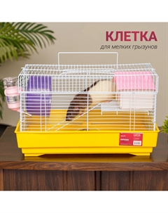 Клетка для мелких грызунов LUCIA 39,5х29,5х23 см с аксессуарами Petmax