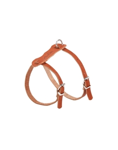 Шлейка для собак и кошек кожаная Люкс, обхват шеи 26-34 см, обхват груди 36-44 см Аркон