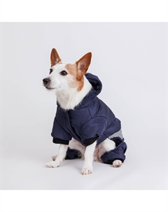 Комбинезон для собак, S, синий Rurri