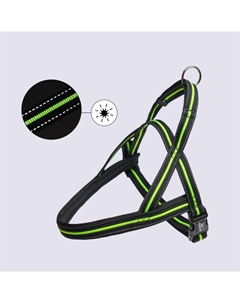 Шлейка для собак со светоотражающей полоской Norway, обхват груди 68-88 см, ширина ремешка 3,5 см, черно-зеленый Rungo
