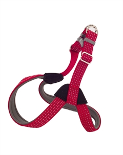 Шлейка для собак нейлоновая Премиум, S, обхват шеи 24-35 см, обхват груди 26-40см, ширина 15 мм Каскад