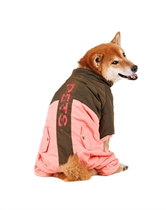 Комбинезон для собак, 3XL, зеленый (унисекс) Petmax