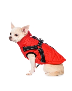 Куртка со шлейкой для собак XS красный (унисекс) Petmax