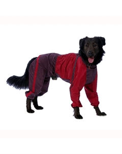 Комбинезон теплый для собак породы вест хайленд уайт терьер, L (мальчик) Тузик