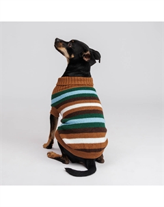 Свитер полосатый для кошек и собак, 40 см, коричневый Petmax