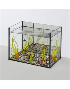 Аквариум (27,5х17х21,5 см) зеркальный, 10 л Watera