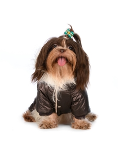 Комбинезон с капюшоном для собак, S, бронзовый (унисекс) Petmax