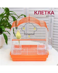 Клетка для птиц, 33,5х24х36 см, бело-оранжевая Petmax