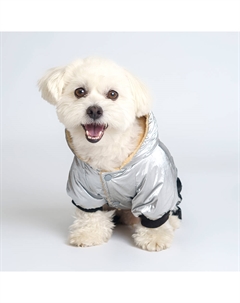 Комбинезон для собак, M, серебряно-черный Rurri