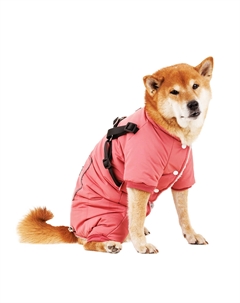 Комбинезон со шлейкой для собак, 3XL, малиновый (девочка) Petmax