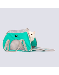 Сумка-переноска для кошек и собак мелких пород, 50х25х32 см, мятный Rurri