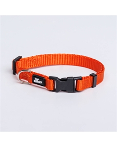 Ошейник для собак, обхват шеи 22-35 см, ширина 1 см, оранжевый Rungo