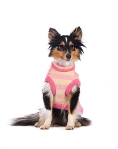 Свитер для кошек и собак, 2XL, розовый (унисекс) Petmax