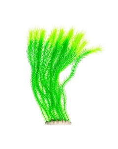 Декор для аквариумов Растение зеленое, 10x8x40 см Aquafantasy