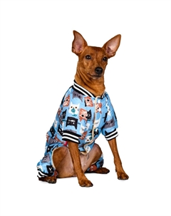 Комбинезон для собак, S, голубой (девочка) Petmax