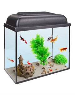 Аквариум (36х19х31,7 см) прямоугольный с крышкой, 20 л Голд фиш