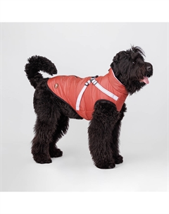 Попона теплая со шлейкой для собак, 5XL, красная Rungo