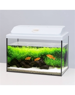 Аквариум (40х21х31 см) с белой крышкой и LED лампой, 20 л Watera