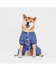 Комбинезон с цветочком для собак, 3XL, голубой (девочка) Petmax