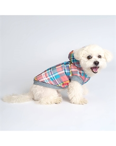Куртка с капюшоном в клетку для собак, S, разноцветный Petmax
