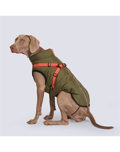 Попона теплая со шлейкой для собак, обхват шеи 56 см, обхват груди 74-83 см, длина спины 55 см, зеленая Rungo