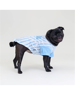 Футболка для кошек и собак, L, бело-голубая Rurri